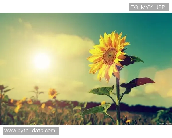 张宁:从普通学子到科技先锋的成长之路与人生启示